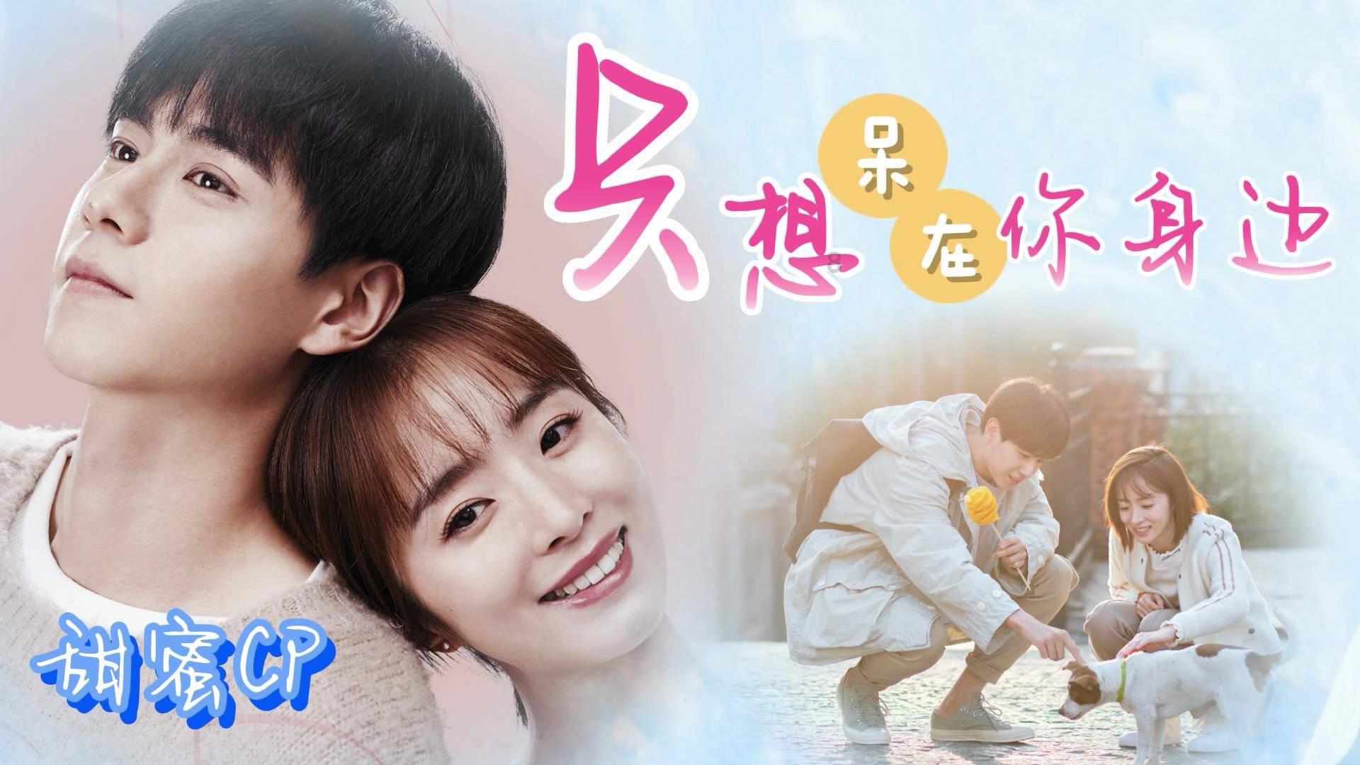 拯救小松鼠